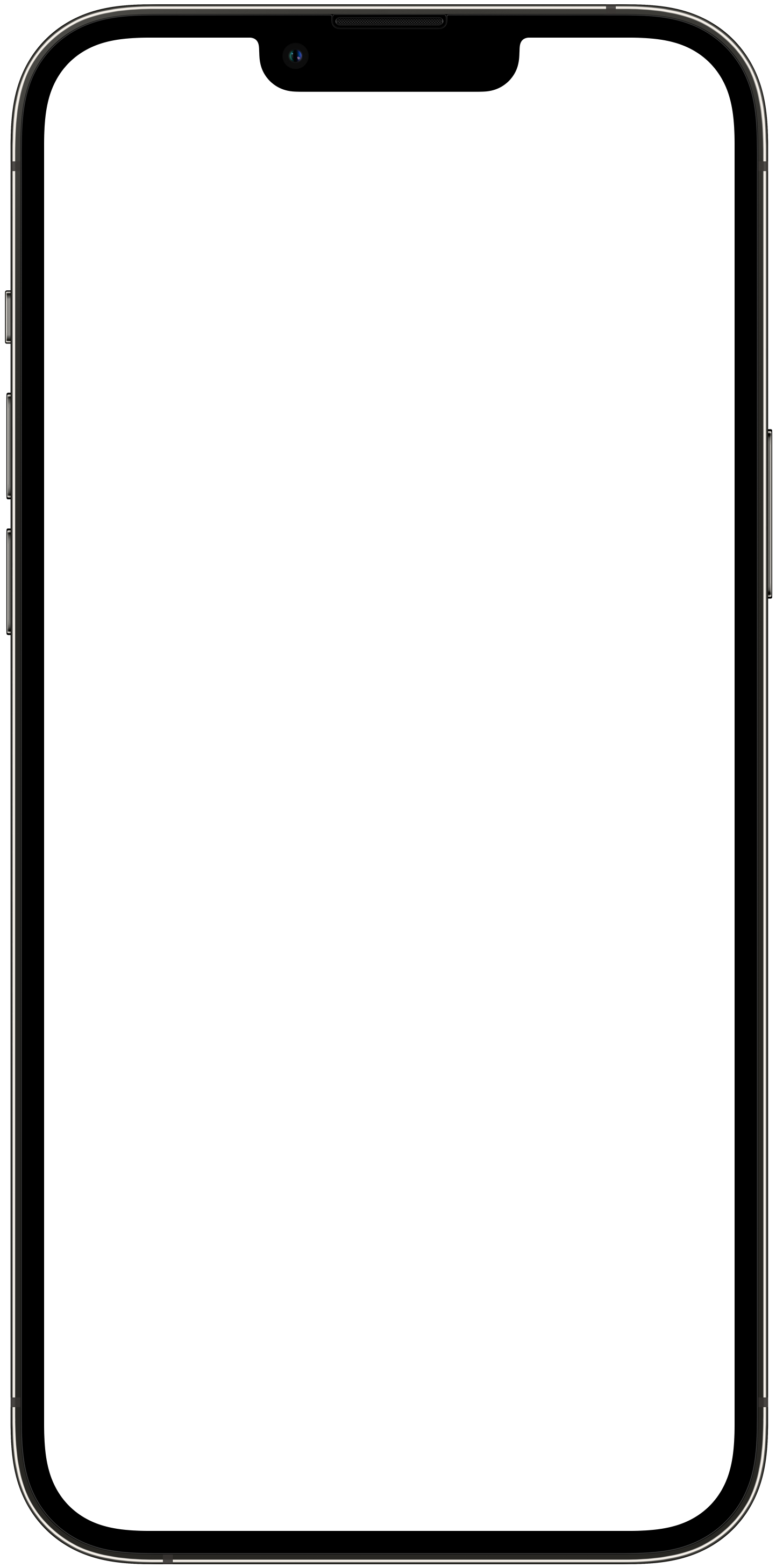 iPhone bezel